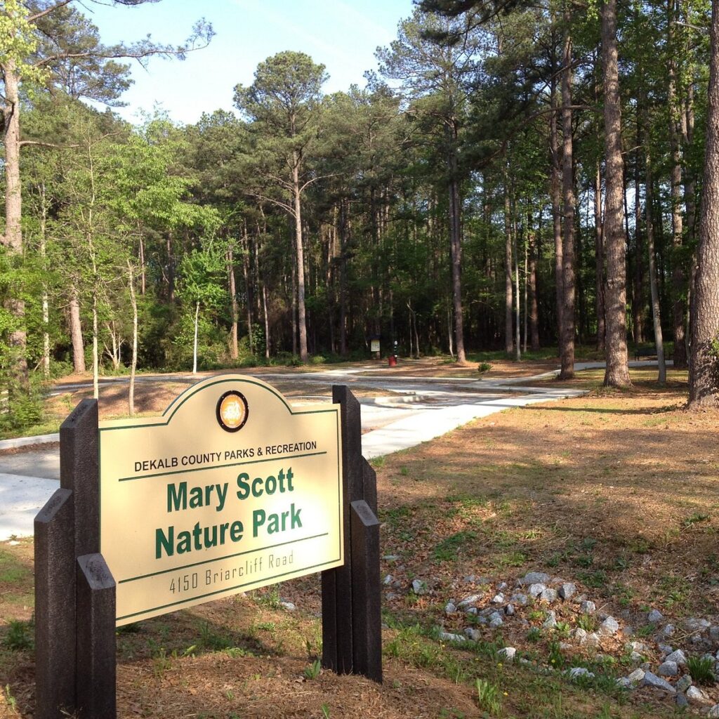 About - Mary Scott Nature Park